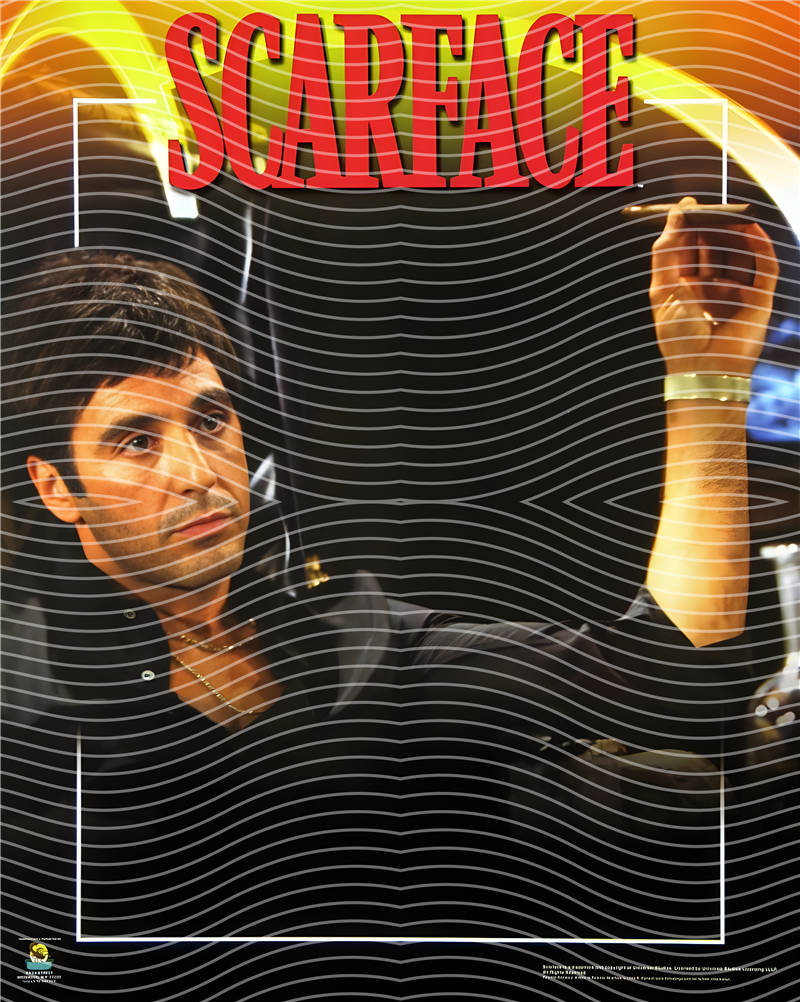 SCARFACE-SF 29